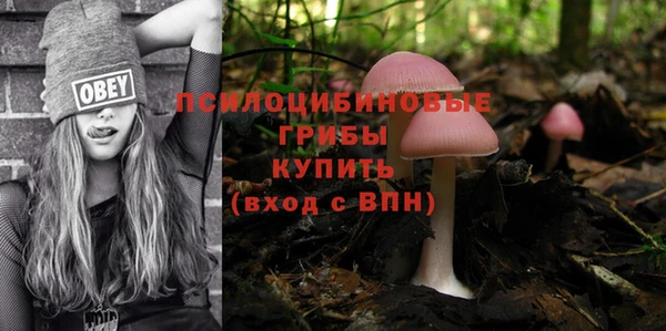 a pvp Ессентукская