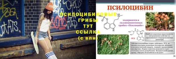 скорость Сосновка