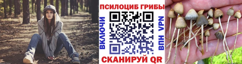 где продают наркотики  Томилино  omg рабочий сайт  Псилоцибиновые грибы Magic Shrooms 