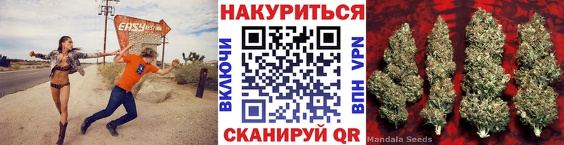 Марихуана план  нарко площадка наркотические препараты  Томилино  hydra зеркало 